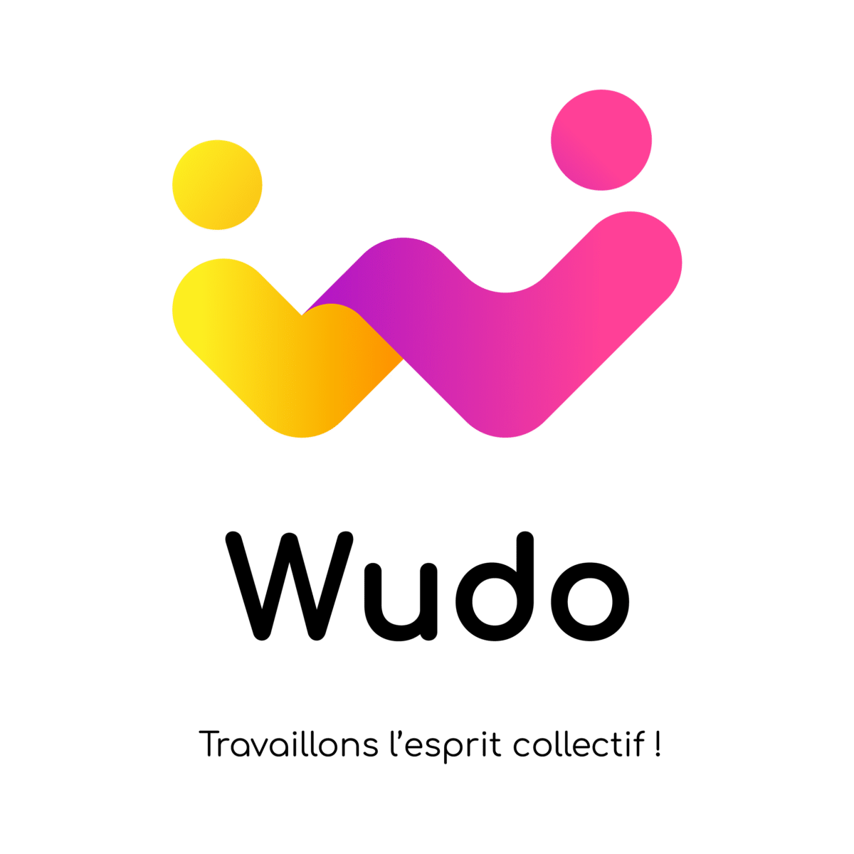 Logo Wudo