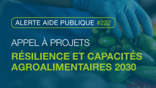 Capture d'écran 2025-05-06 163518