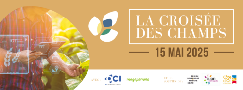 bandeau facebook LCDC