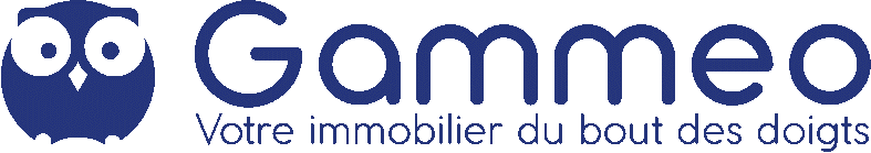 Développeur confirmé / senior (H/F/D)